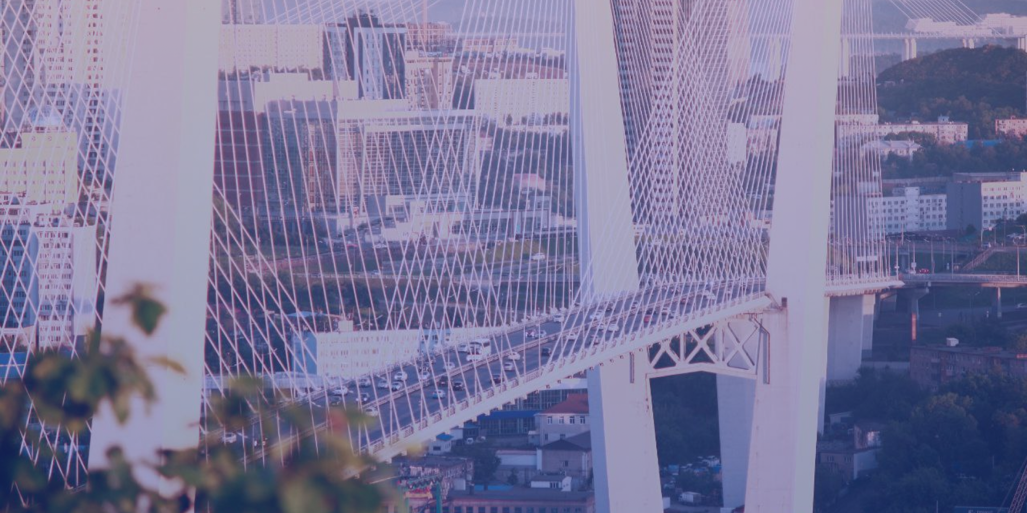 Описание изображения