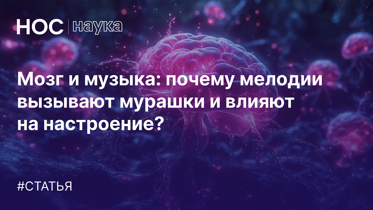 Мозг и музыка: почему мелодии вызывают мурашки и влияют на настроение?