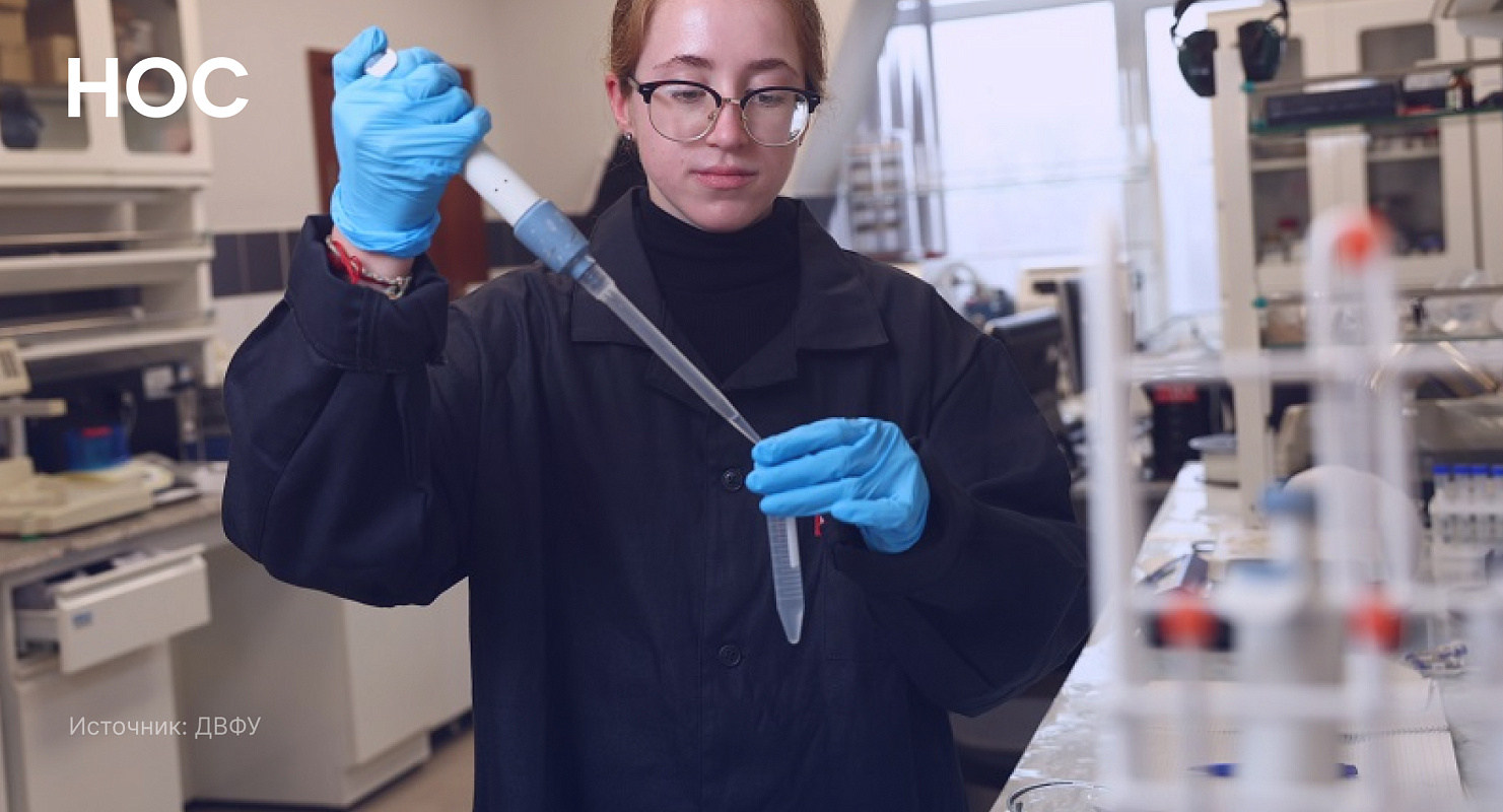 Описание изображения